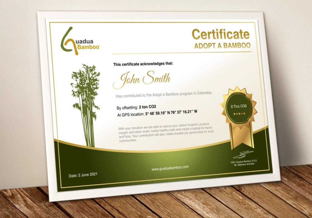 Adopt a Bamboo Certificate
