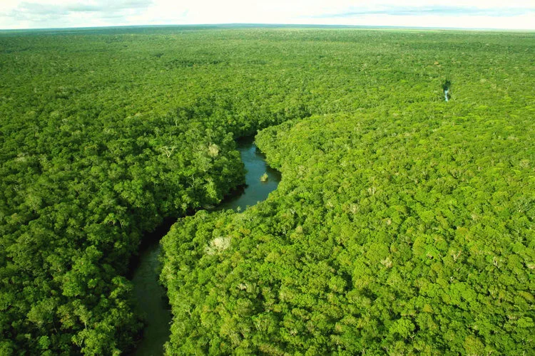 Amazon in Brazil Amazon in Brazil