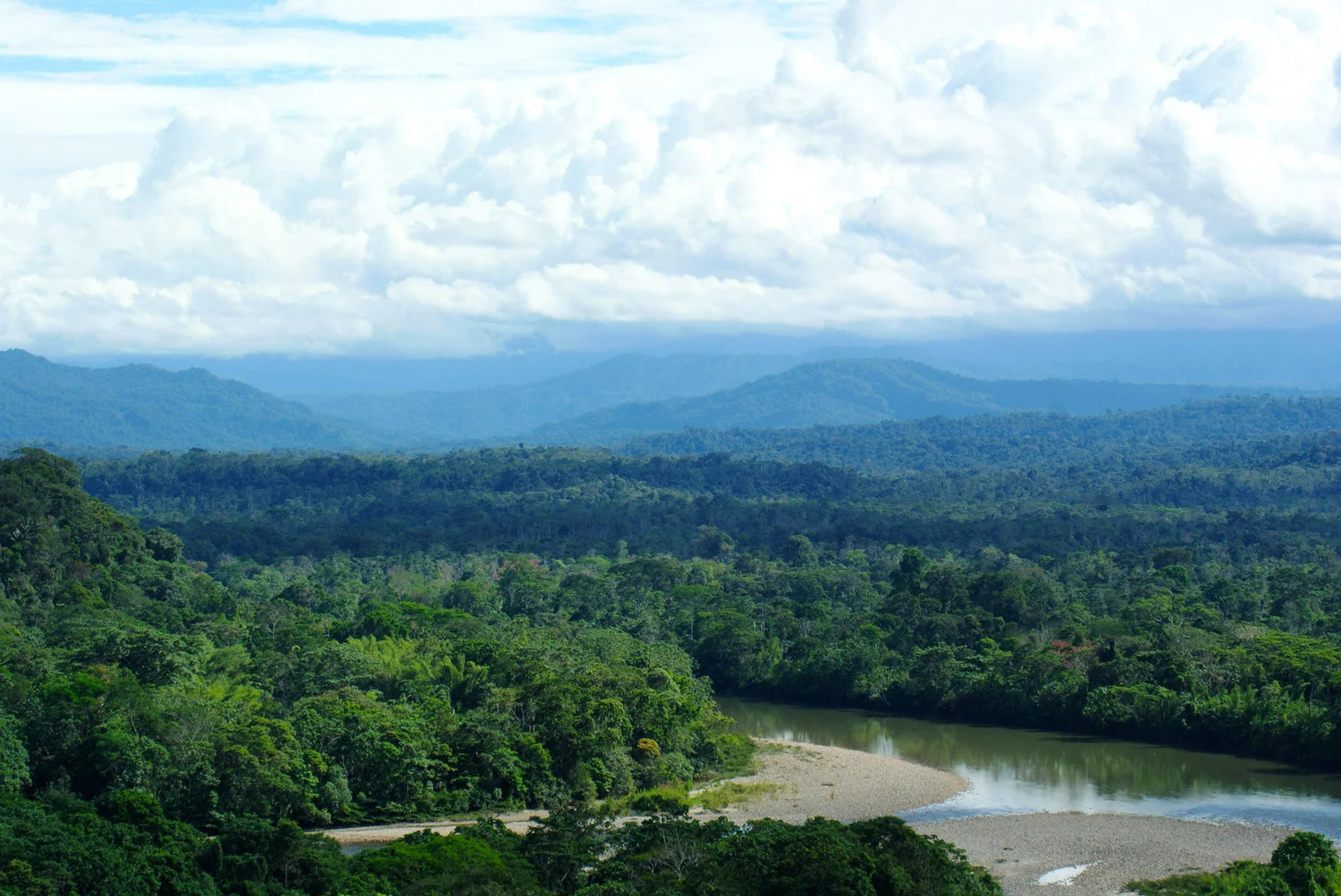 Amazon Rain Forest in Ecuador