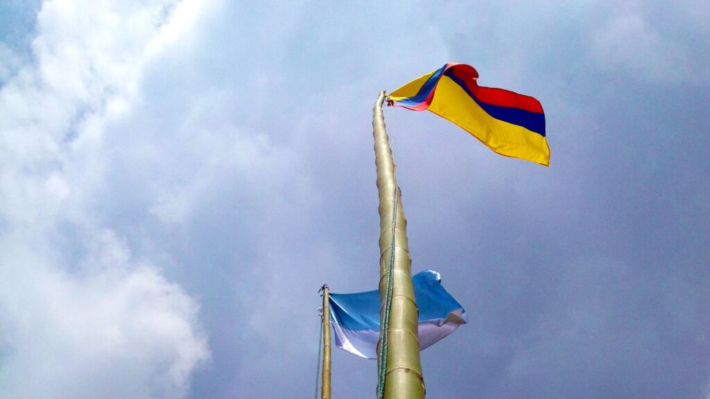 American Bamboo Species