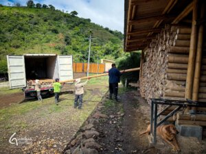Guadua Bamboo Poles on the Way to Uruguay!