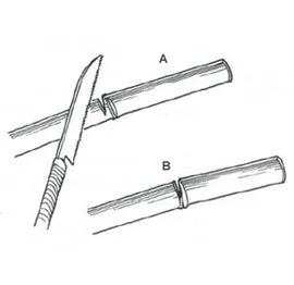 How to Bend Bamboo Poles