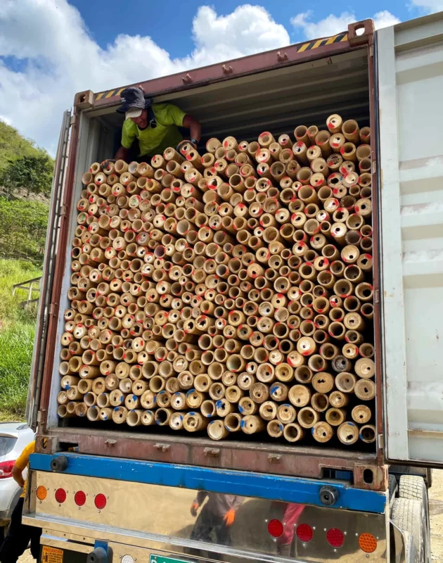 Bamboo Export: Loading Containers for International Shipping