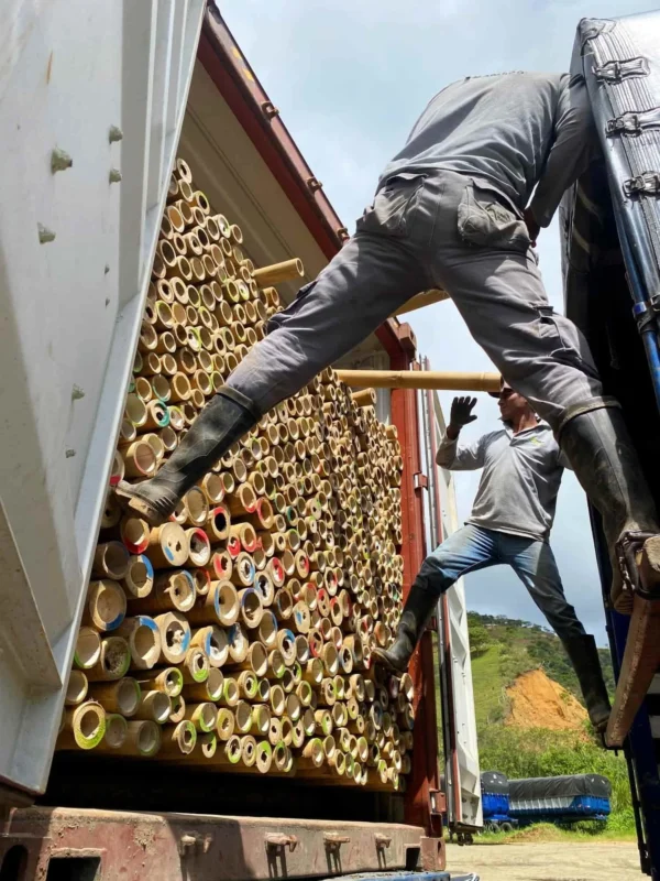 Bamboo Export: Loading Containers for International Shipping