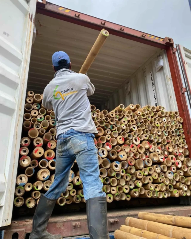 Bamboo Export: Loading Containers for International Shipping