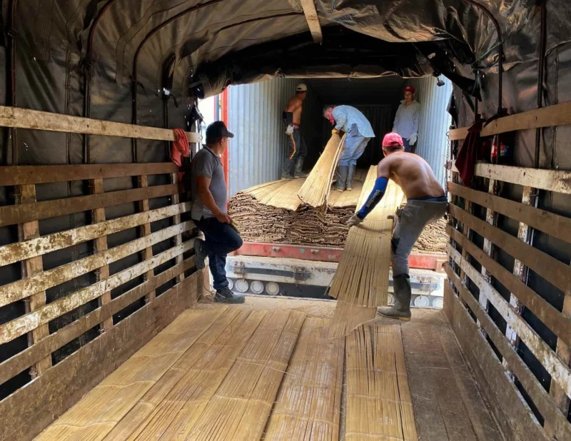 Bamboo Export: Loading Containers for International Shipping