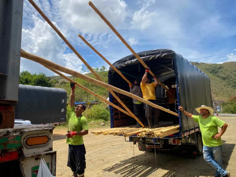 Bamboo Export: Loading Containers for International Shipping