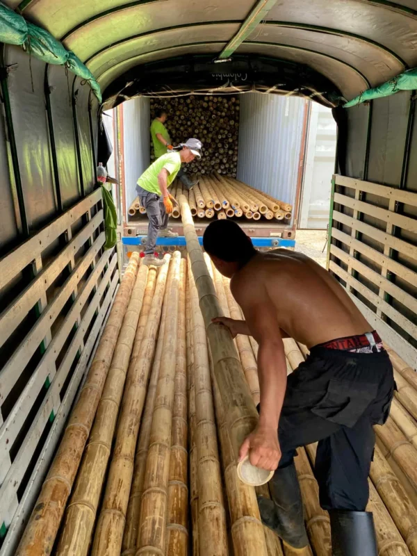 Bamboo Export: Loading Containers for International Shipping