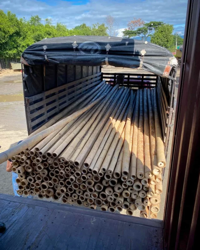 Bamboo Export: Loading Containers for International Shipping