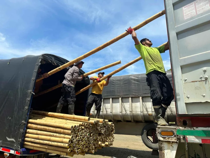 Bamboo Export: Loading Containers for International Shipping
