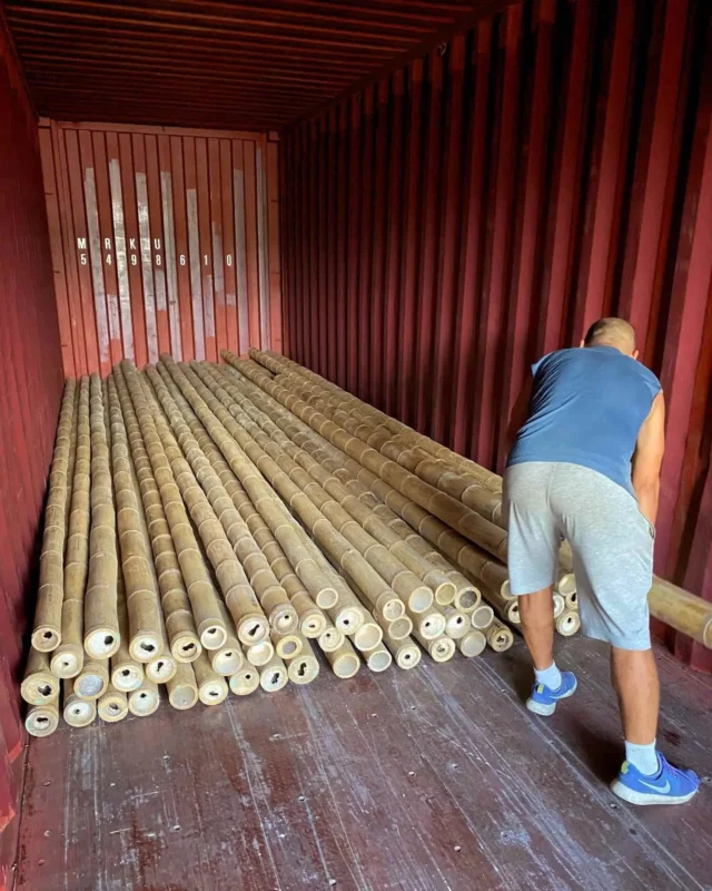Bamboo Export: Loading Containers for International Shipping