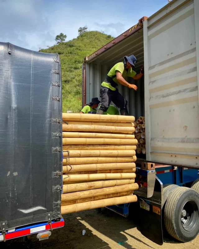 Bamboo Export: Loading Containers for International Shipping
