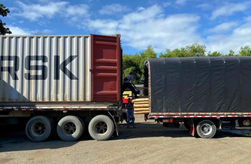 Bamboo Export: Loading Containers for International Shipping