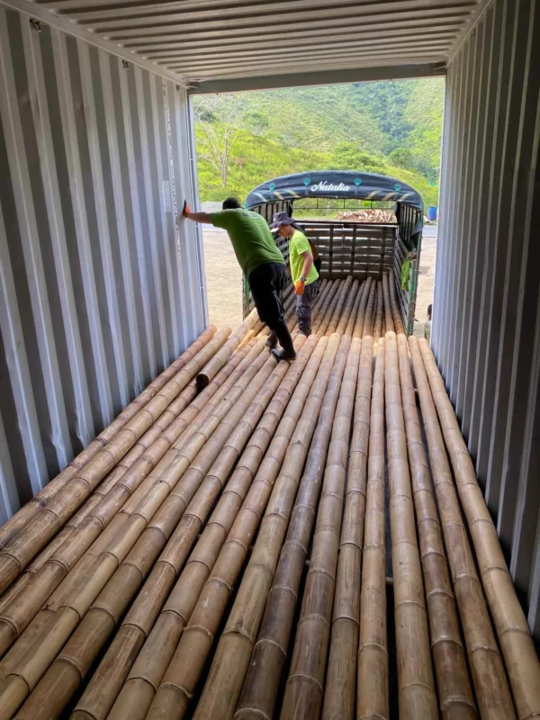 Bamboo Export: Loading Containers for International Shipping