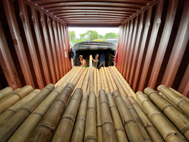 Bamboo Export: Loading Containers for International Shipping