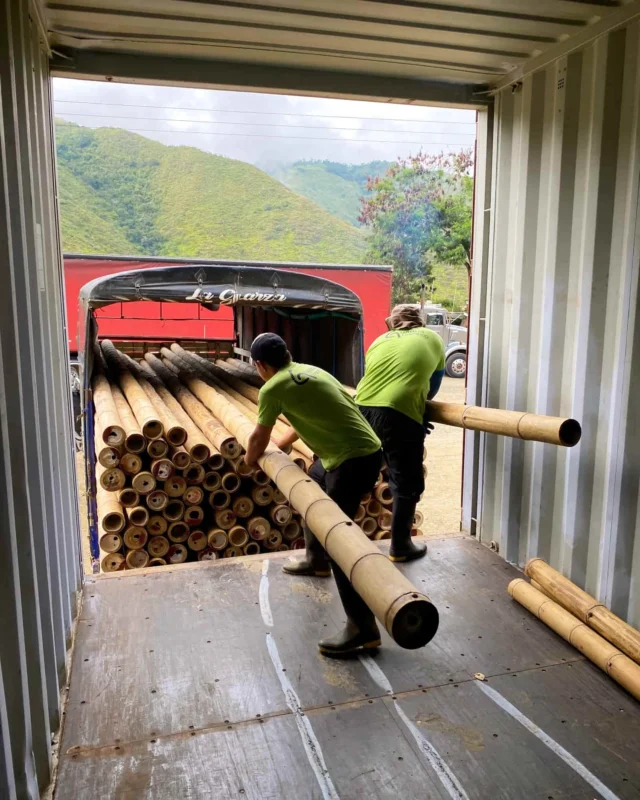 Bamboo Export: Loading Containers for International Shipping