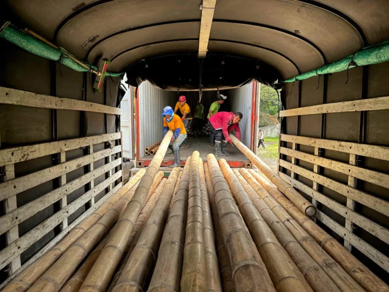 Bamboo Export: Loading Containers for International Shipping
