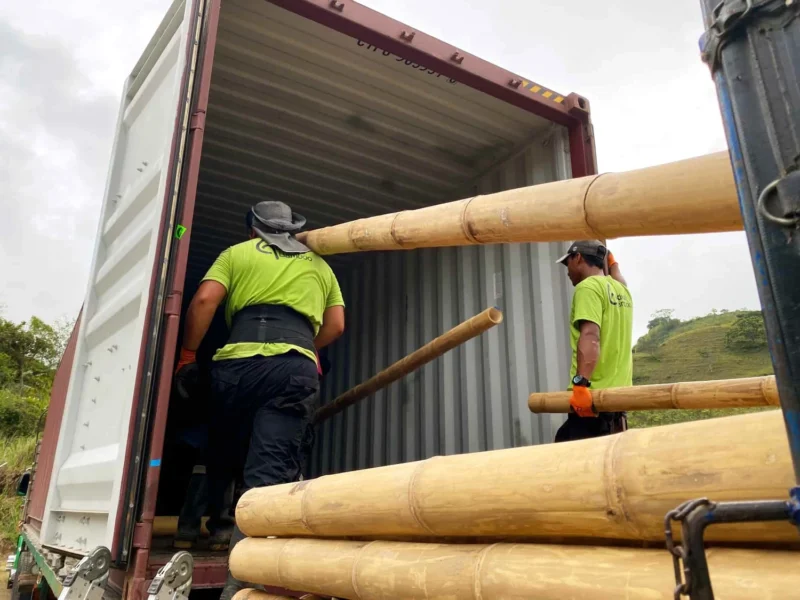 Bamboo Export: Loading Containers for International Shipping