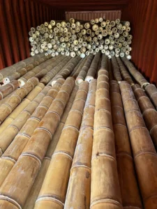 Bamboo Export