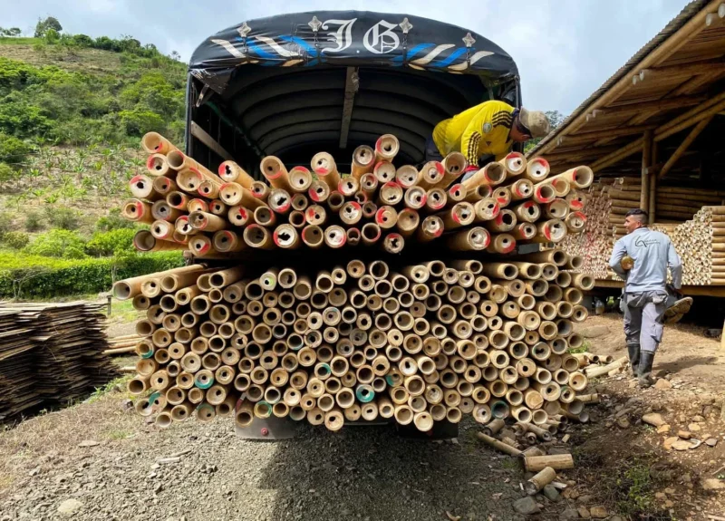 Bamboo Export: Loading Containers for International Shipping