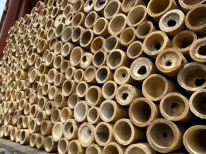 Bamboo Export