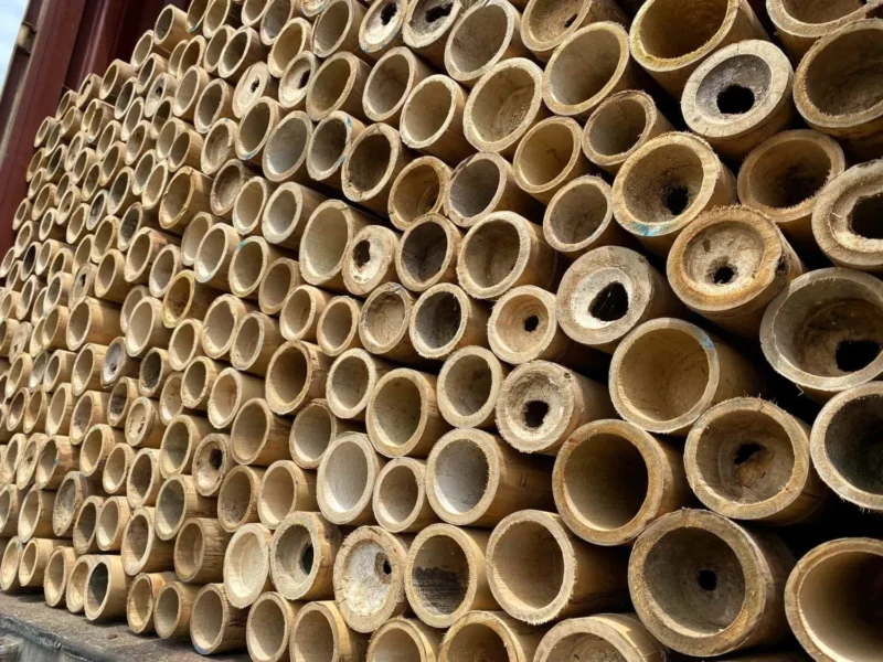 Bamboo Export: Loading Containers for International Shipping