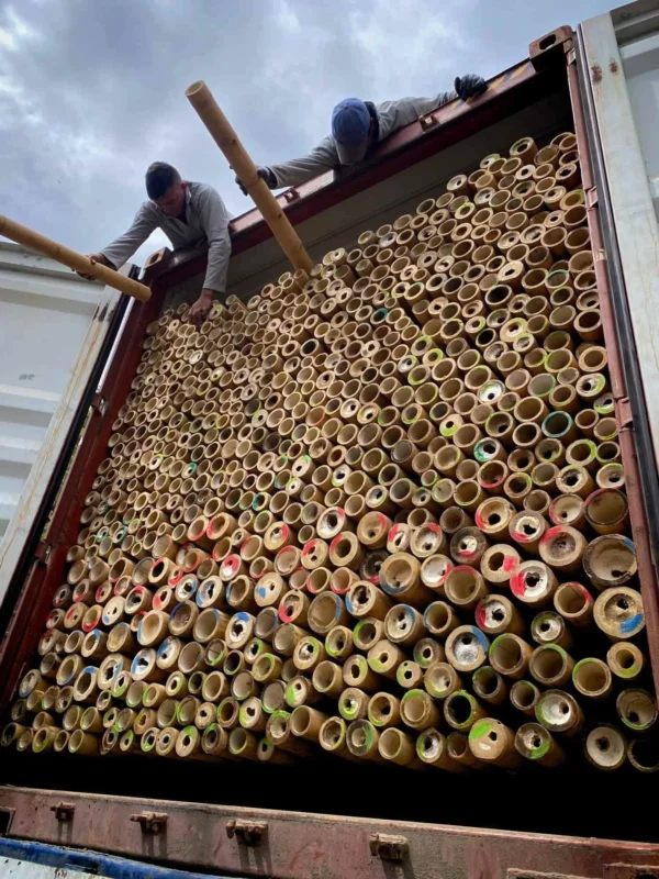Bamboo Export: Loading Containers for International Shipping