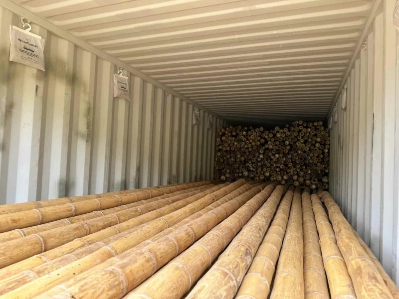 Bamboo Export: Loading Containers for International Shipping