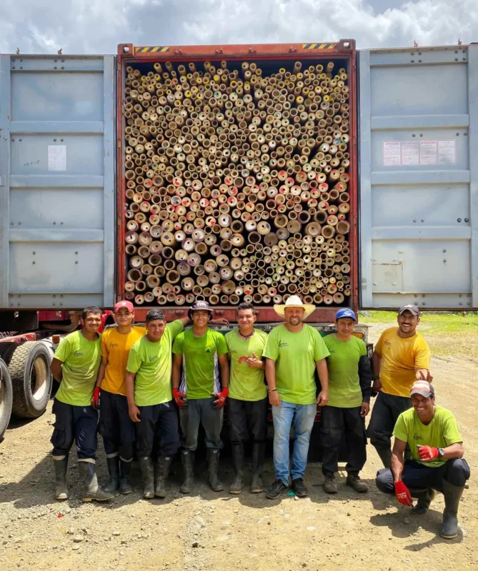 Bamboo Export: Loading Containers for International Shipping
