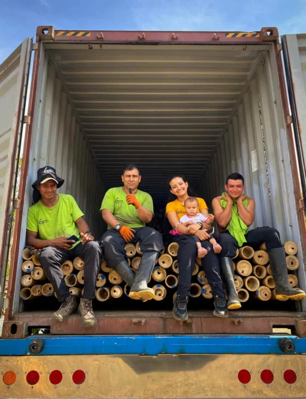Bamboo Export: Loading Containers for International Shipping
