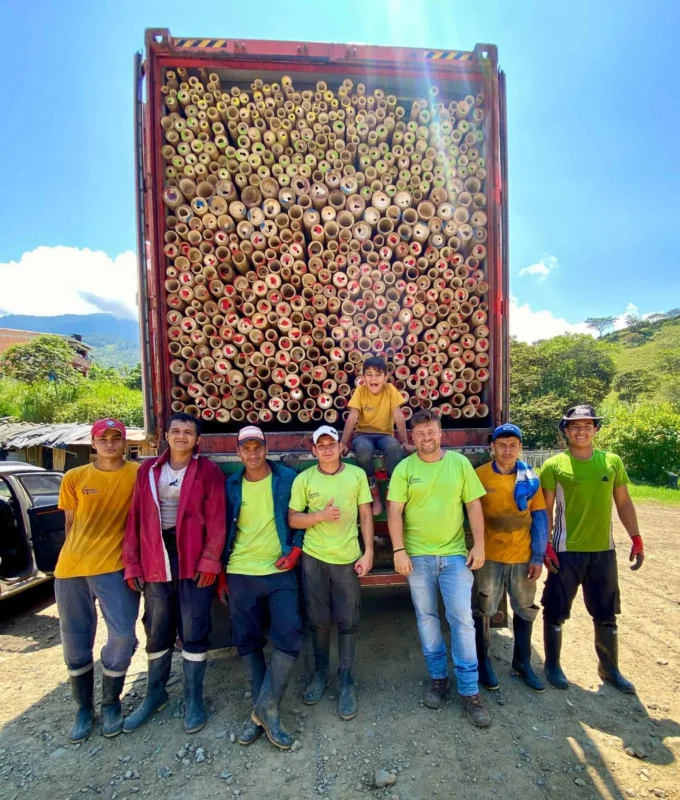 Bamboo Export: Loading Containers for International Shipping