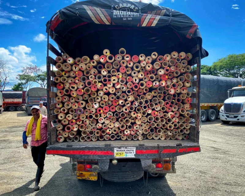 Bamboo Export: Loading Containers for International Shipping