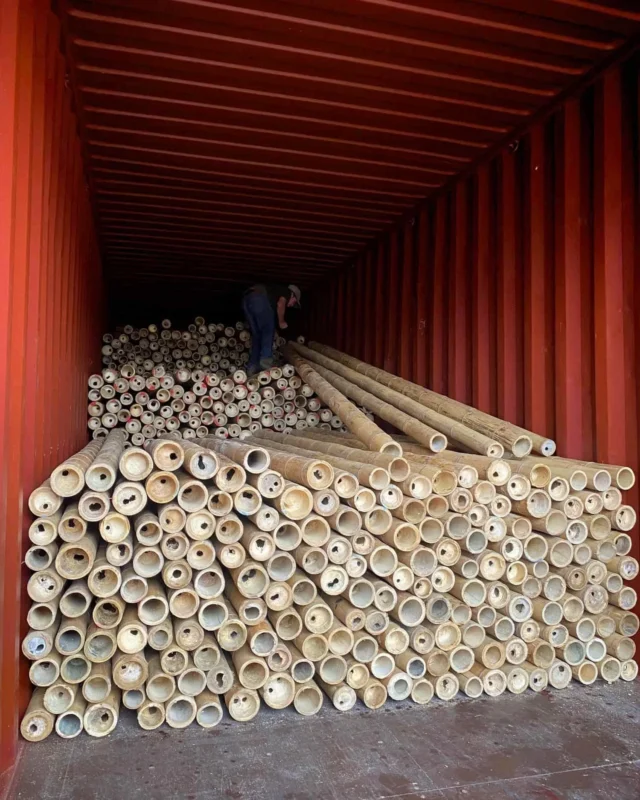 Bamboo Export: Loading Containers for International Shipping
