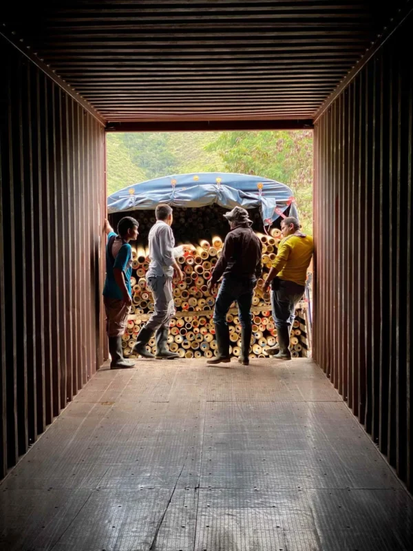 Bamboo Export: Loading Containers for International Shipping