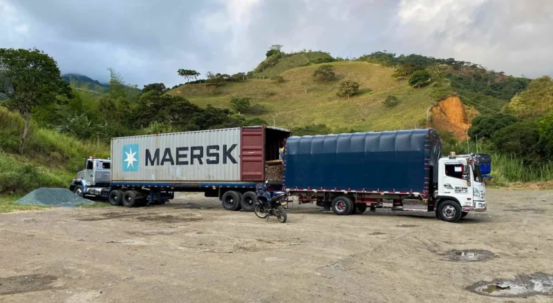 Bamboo Export: Loading Containers for International Shipping