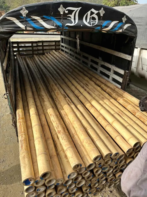 Bamboo Export: Loading Containers for International Shipping