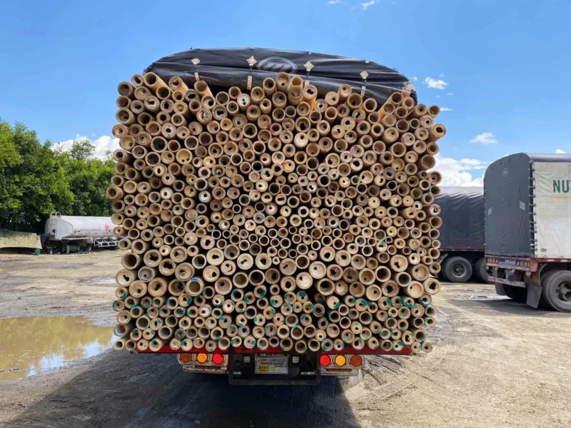 Bamboo Export: Loading Containers for International Shipping
