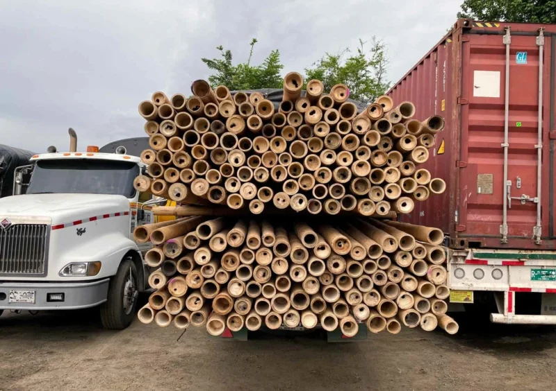 Bamboo Export: Loading Containers for International Shipping