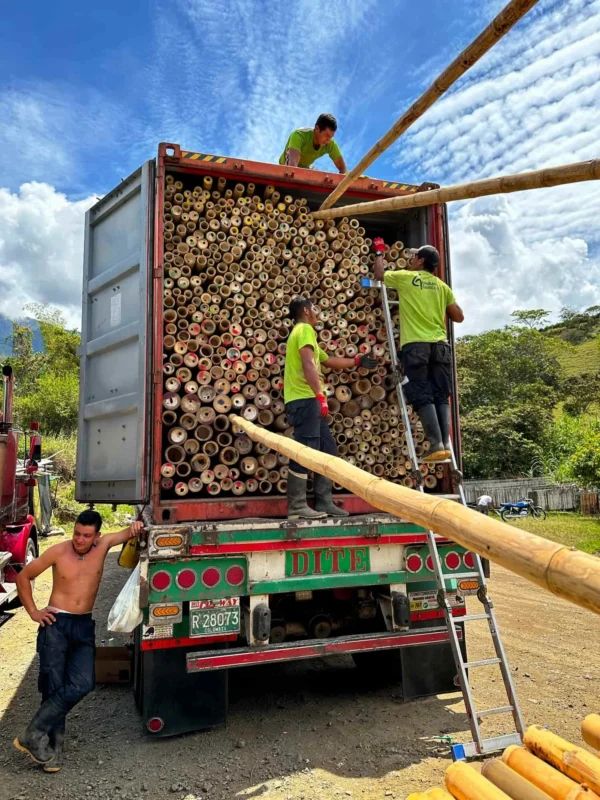 Bamboo Export: Loading Containers for International Shipping