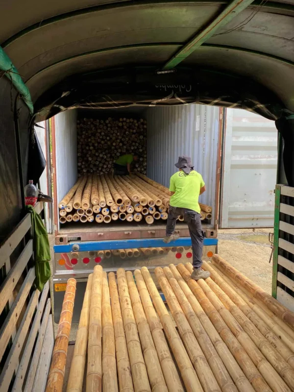 Bamboo Export: Loading Containers for International Shipping