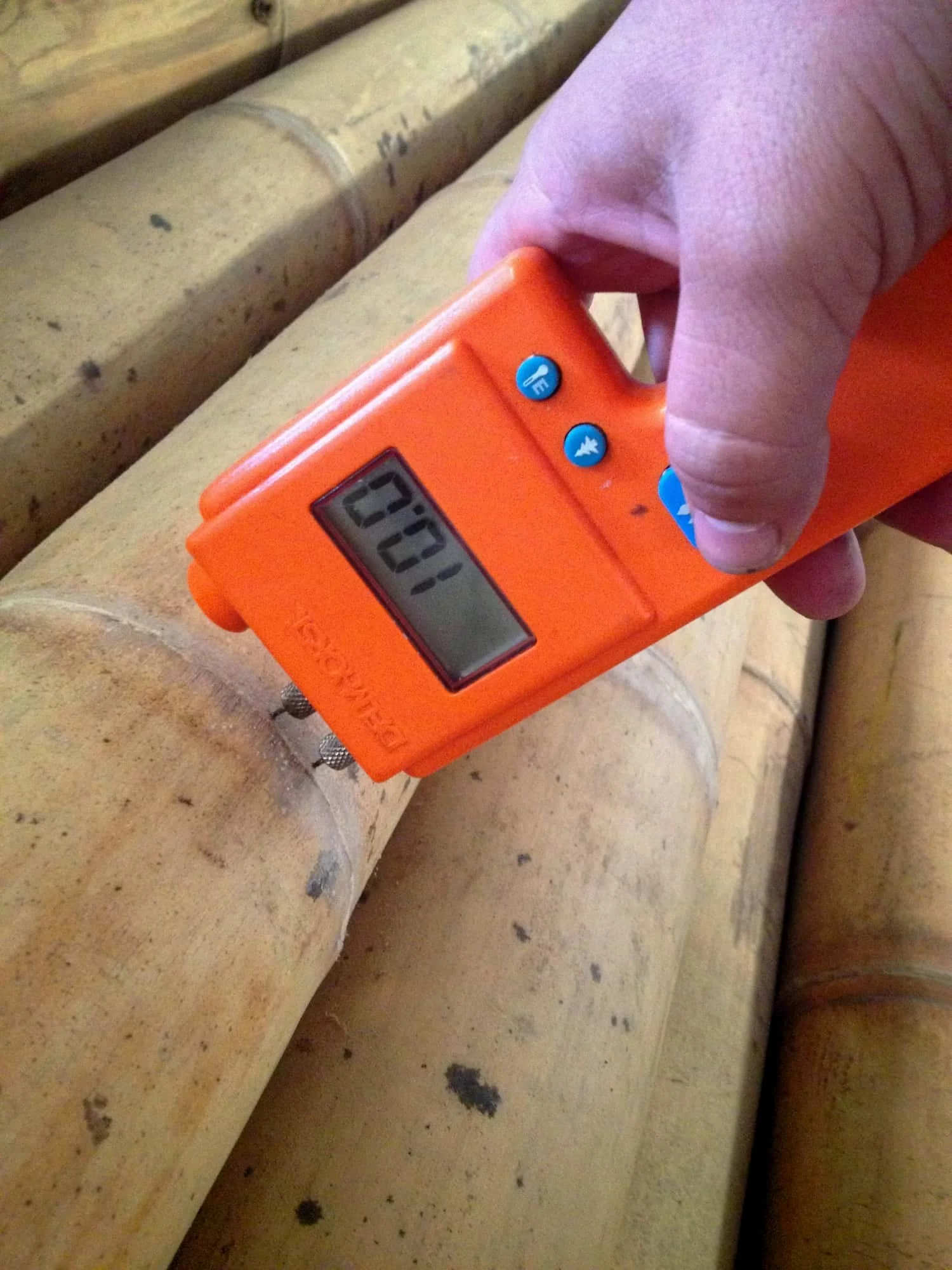 Measuring Bamboo Poles Moisture Content