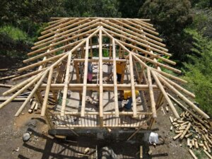 Building a Sustainable Outdoor Bathroom Cabin from Bamboo