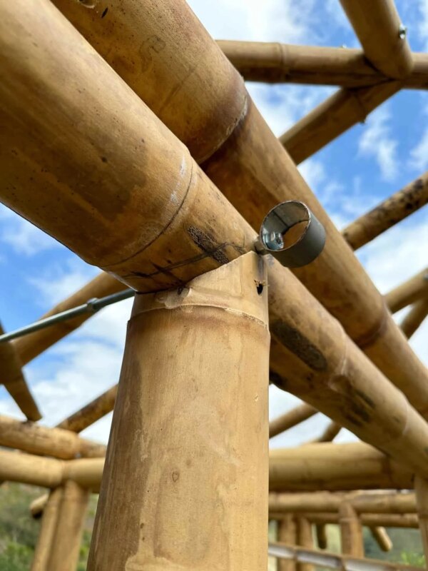 Construction of Bamboo Cabin with Composting Toilet