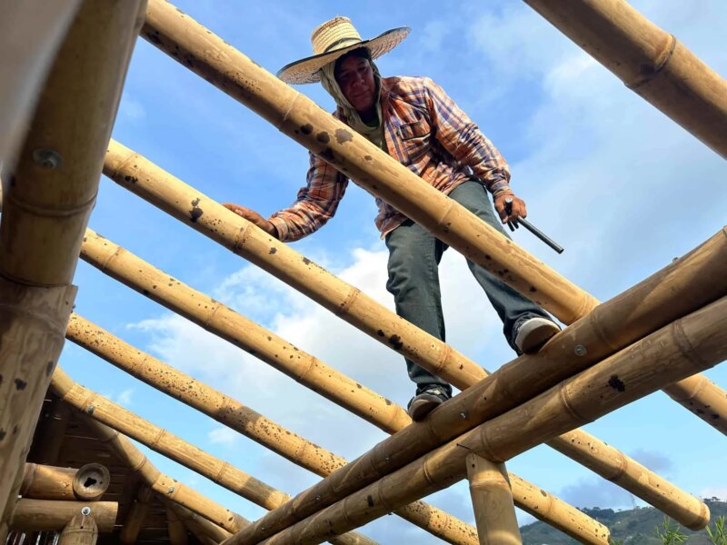 Construction of Bamboo Cabin with Composting Toilet