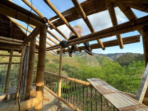Building a Sustainable Outdoor Bathroom Cabin from Bamboo