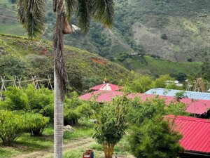 Building a Sustainable Outdoor Bathroom Cabin from Bamboo