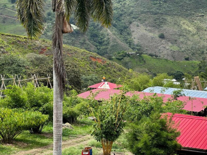 Finishes for Bamboo Cabin with Composting Toilet