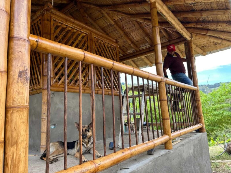 Finishes for Bamboo Cabin with Composting Toilet