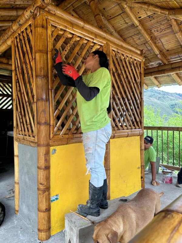 Finishes for Bamboo Cabin with Composting Toilet