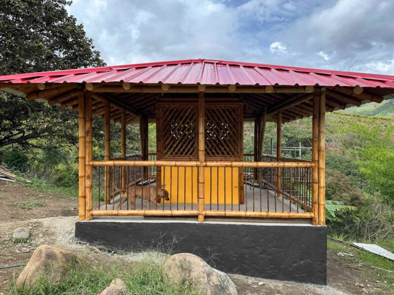 Finishes for Bamboo Cabin with Composting Toilet